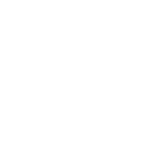 Octopus icon white