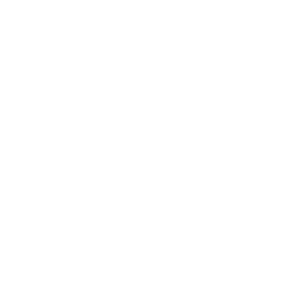 Octopus icon white